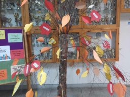 b_1024_768_0_00_images_2023_2024_Homa_tolerancja_369173548_826771859191120_4627253125251526592_n